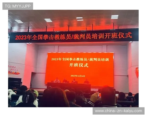 国际拳击裁判在选拔中注重职业操守与医学判断能力并公开标准，国际职业拳击组织