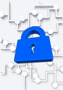 开云体育网址-高校体育社团管理数字化平台构建方案，全国性体育社团