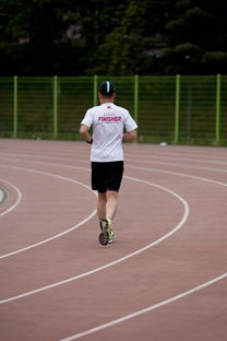 开云体育官网-高校运动训练效果科学评估研究，运动训练高校排名