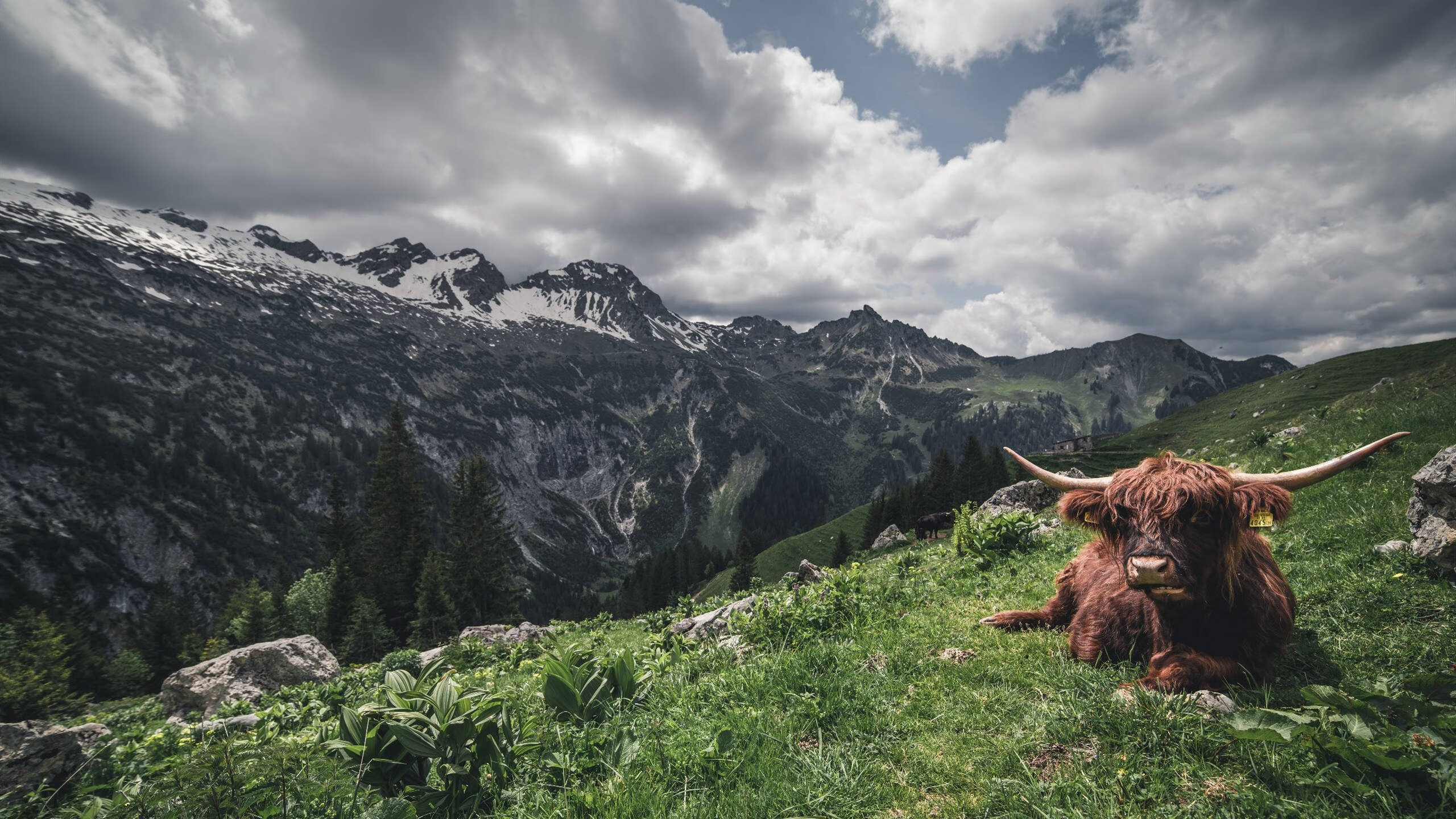 “沙滩手球精彩纷呈，运动员挑战速度与技巧”