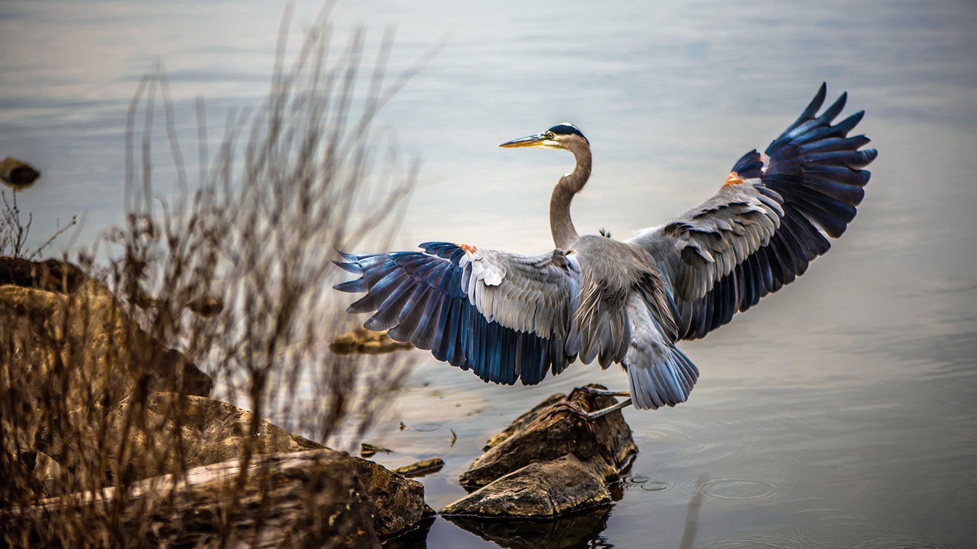 开云体育娱乐-中国男篮强化高压防守打造铁血阵容，中国男篮防守悍将