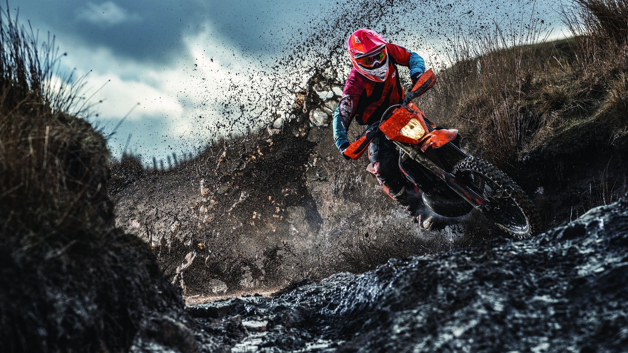 羽毛球场上国羽小将勇夺冠军，国家队羽毛球冠军