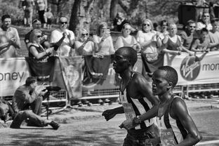 开云体育app下载-马拉松赛事组织更加规范，马拉松比赛组织