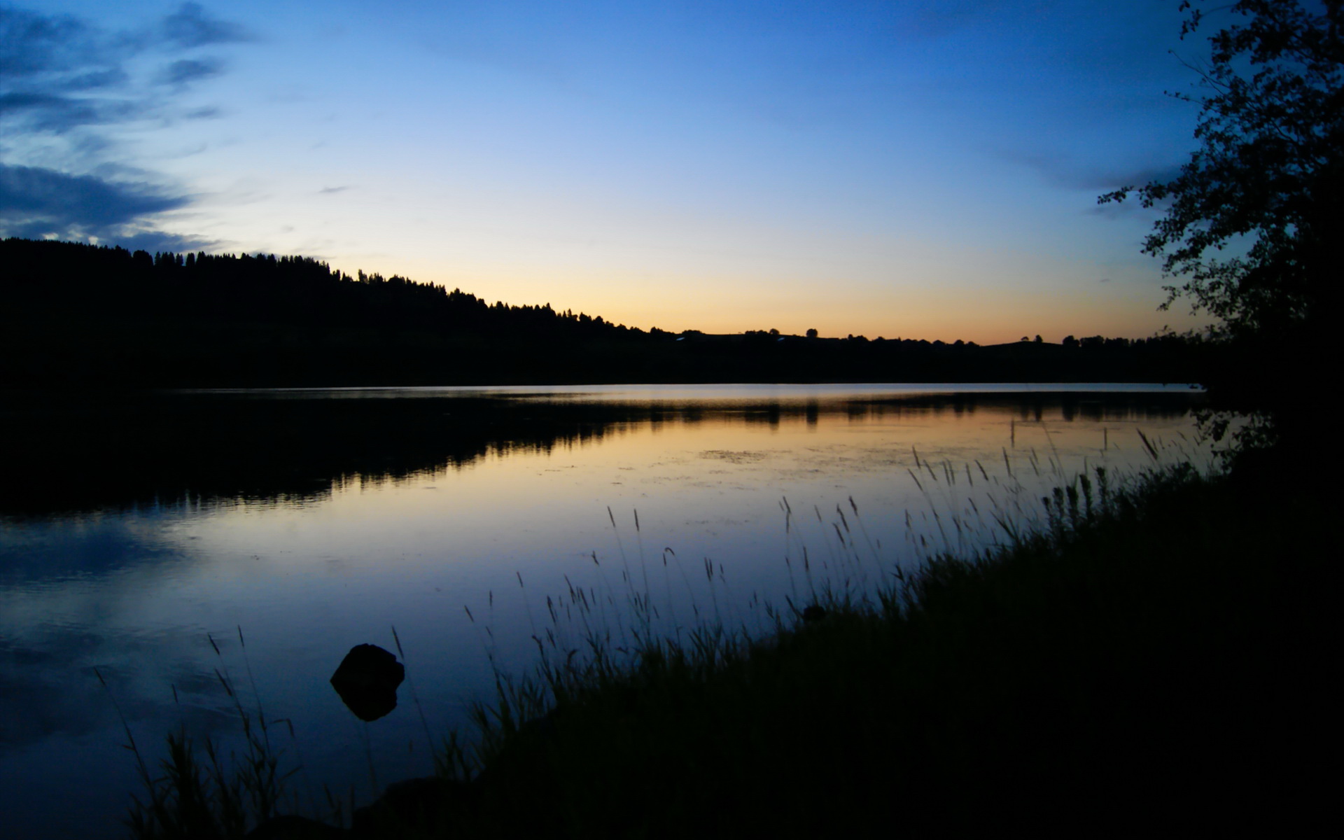 开云ky官网-“美洲狮队的强势表现标志着阿根廷橄榄球的崭新起点”