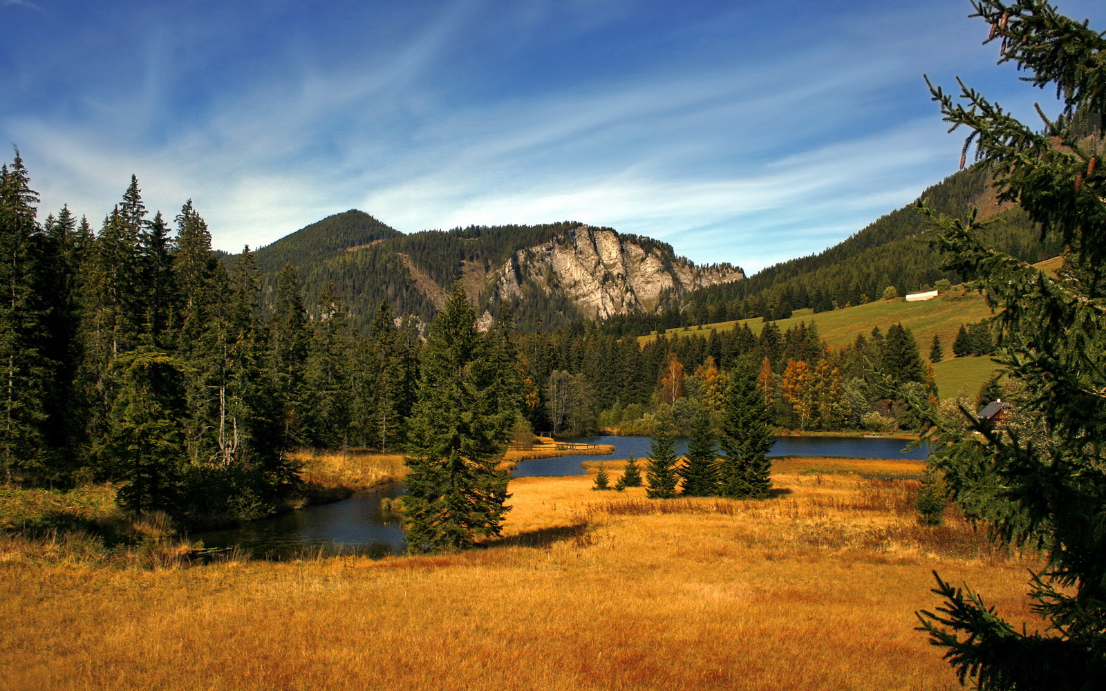 开云体育在线入口-女篮国家队注重篮下强攻培养提升内线威慑，国家队女篮要求