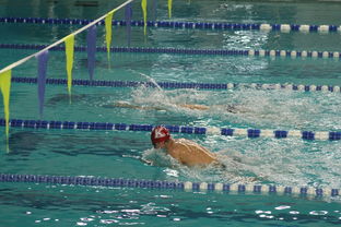 开云体育链接-张雨霏自由泳接力助队夺冠，张雨霏自由泳接力助队夺冠了吗