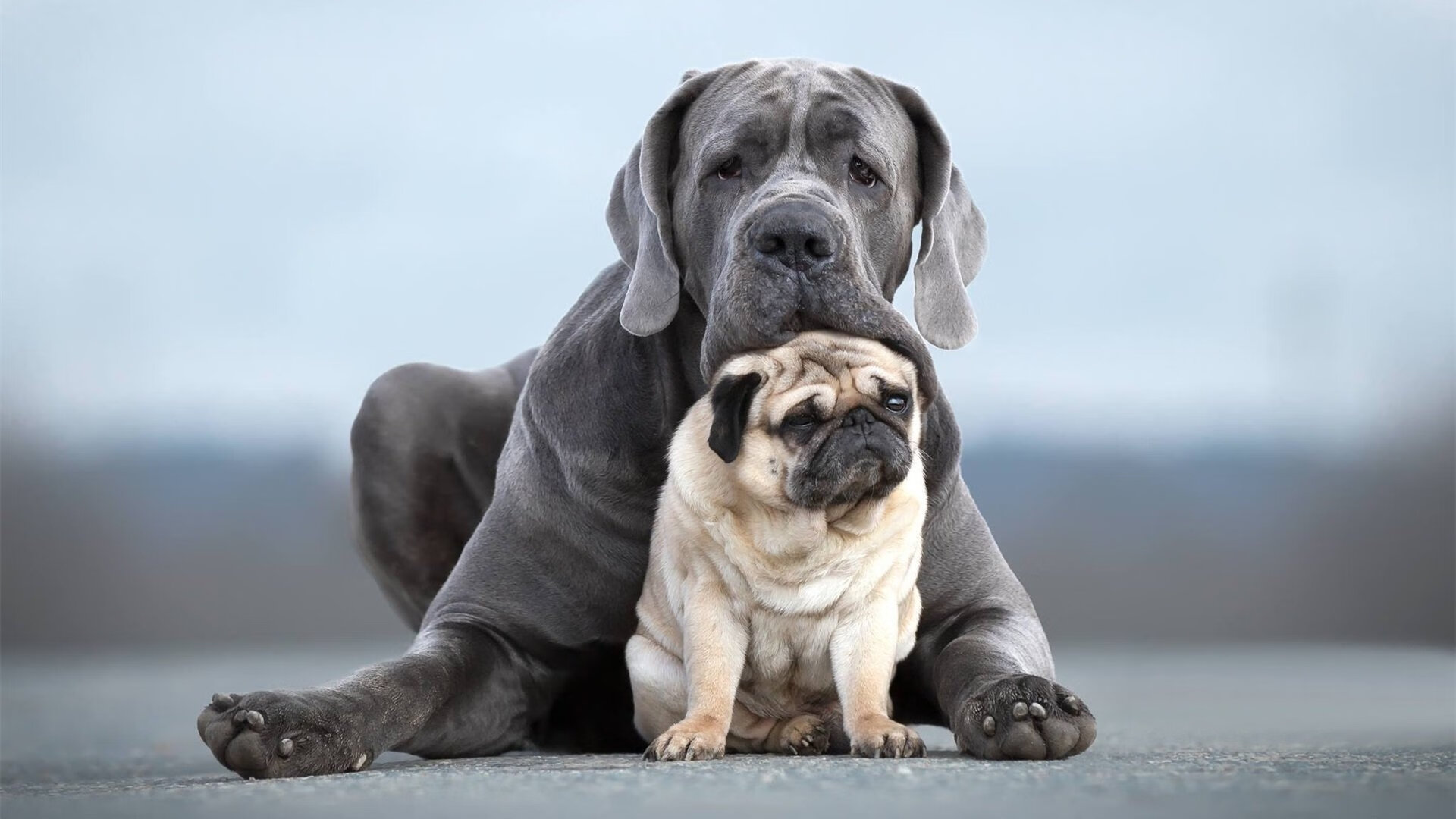 欧洲杯战术创新:变阵、奇兵引领潮流,欧洲杯战状