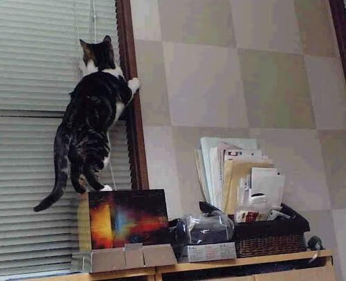 瑞·弗兰:全黑队的“攻防转化利器”,每次防守后都迅速转入反击模式