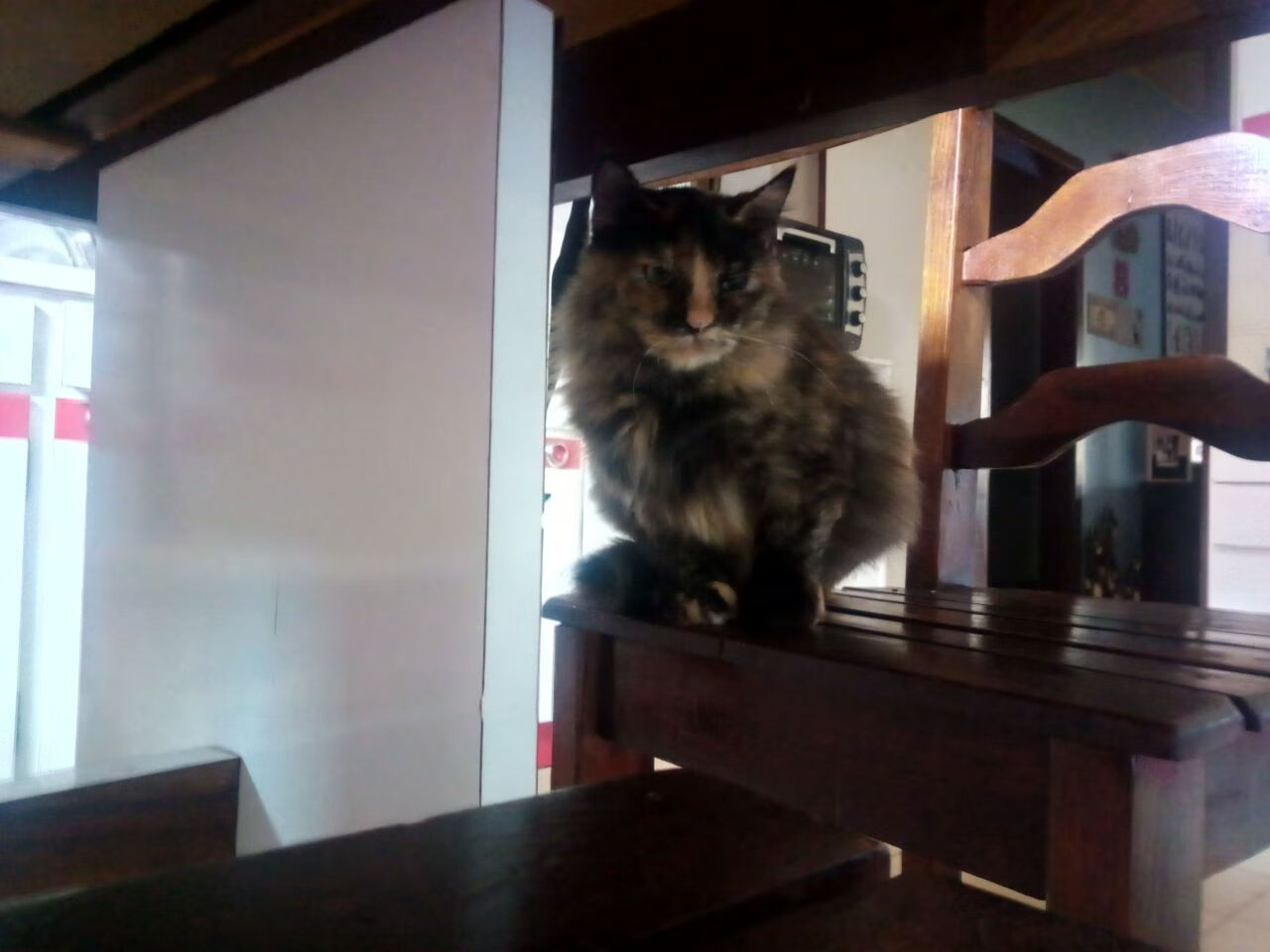 开云体育足球-职业联赛设立球迷摄影日丰富观赛文化活动，足球赛摄影作品