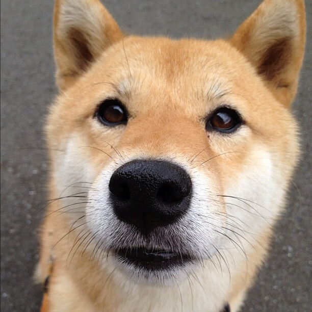 西甲火爆对抗：攻守之间的精彩瞬间，西甲本轮战报