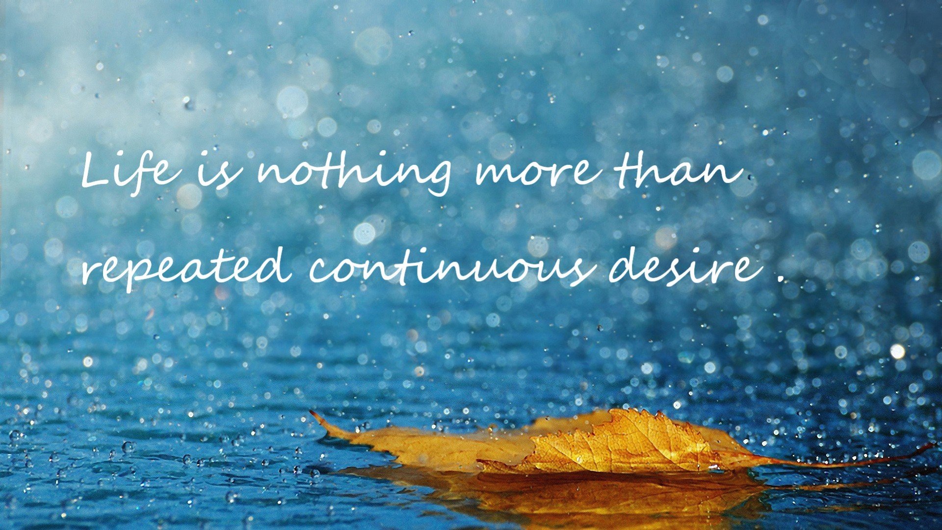 开云在线入口-“罗密欧·冈萨雷斯的反击速度与强大突破力，成为美洲狮队的制胜利器”